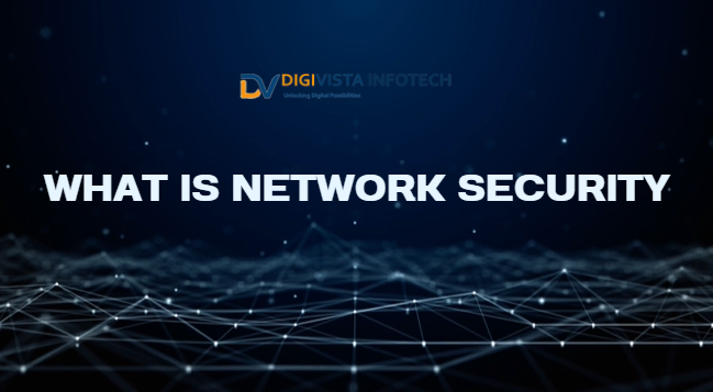 What is Network secutity